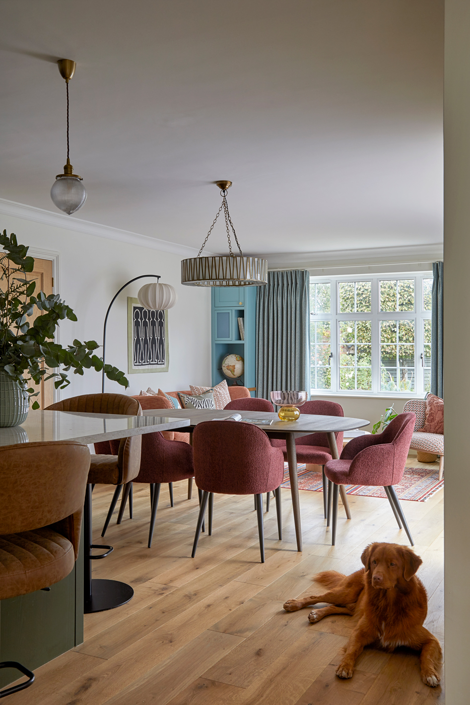 Open-plan dining and living area designed by Kate Lovejoy Interiors in Maidenhead, featuring soft red dining chairs, teal cabinetry, warm wood flooring, and two dogs relaxing in the Transformed Family Home project.